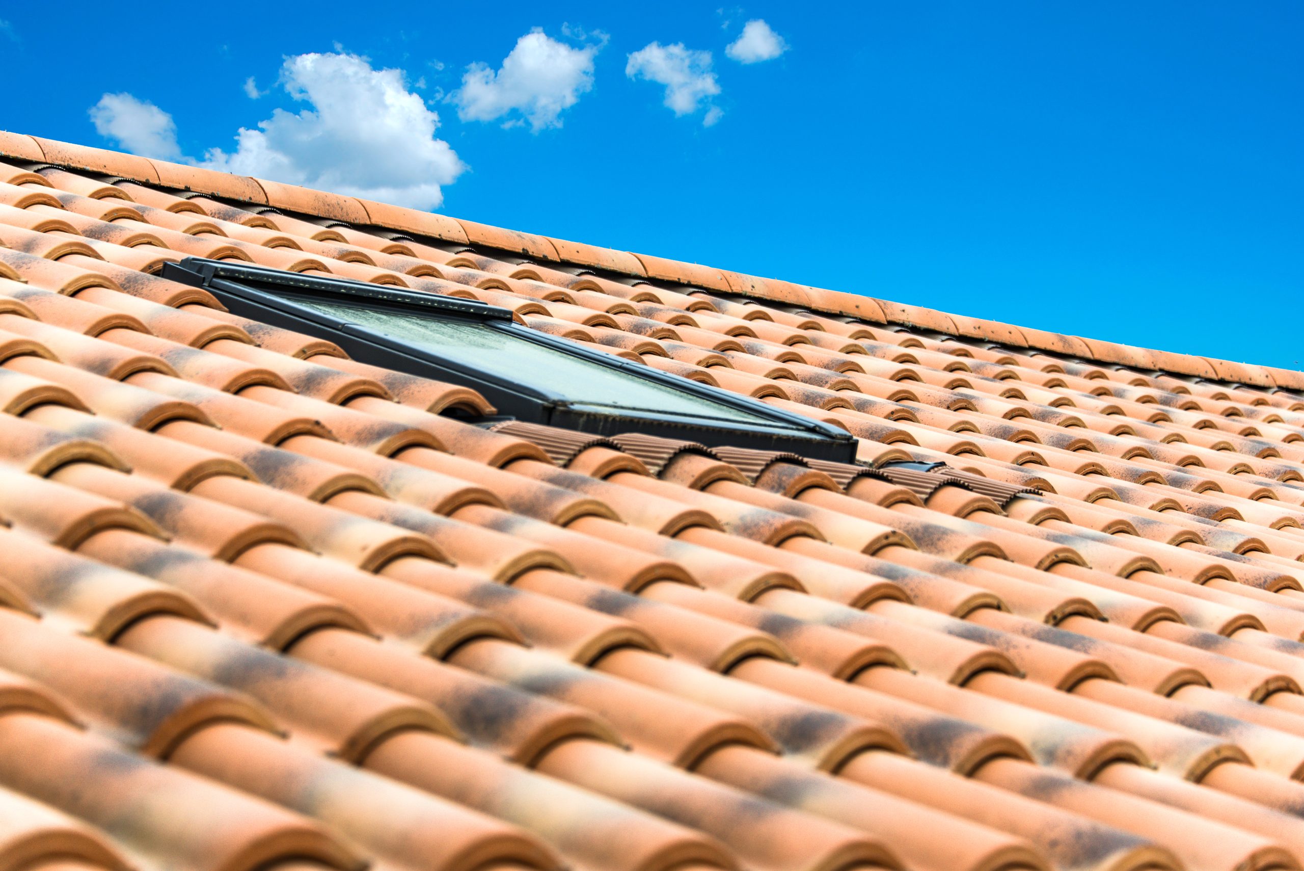 Pose De Velux®