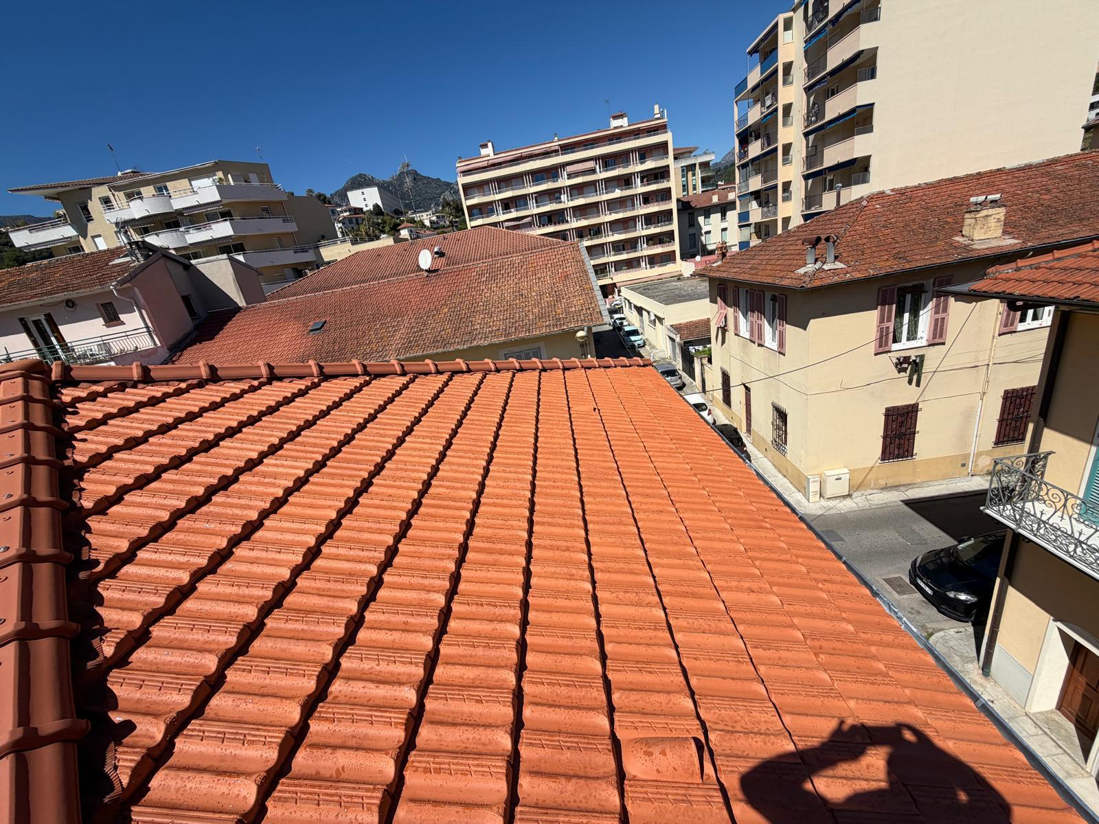 Lineazur Couverture – Couvreur – Zingueur – Charpentier – Alpes-Maritimes – 12